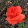 Feuerzauber