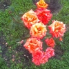 Lovers Meeting