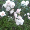 imag0825