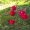 imag0841