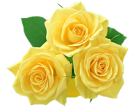 roses-1