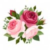 EngRose5