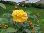 IMG_3626